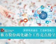 探索有效途徑，打造新型能力——棟方股份兩化融合工作亮點紛呈